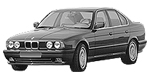 BMW E34 P2444 Fault Code